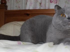 Freiherr Fritz von Schustersmühle