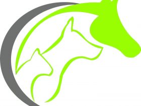 Mobile Tierheilpraxis Andrea Kempinger