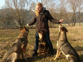 Hundeakademie-Wolfserbe