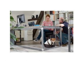 Ausbildungszentrum für Berufsbegleithunde