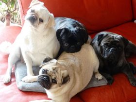 Von der Rügenschlucht