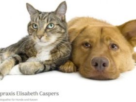 Tierheilpraxis Elisabeth Caspers