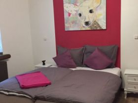 Hundezentrum MuppenTrupp