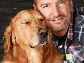 footprints Tierphysiotherapie