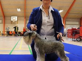 Carlson vom Rombergpark