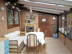 Wacholderbusch fünf