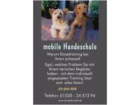 Mobile Hundeschule sitz-platz-bleib
