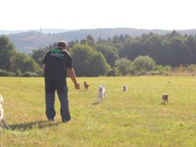 Mobile Hundeschule Jung