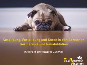 Tierphysiothek & Tierphysiothek-Akademie