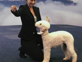 von der schwarzen Nebelburg