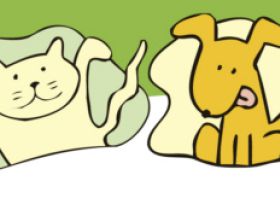 Naturheilpraxis für Tiere Iris Baus