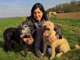 Hundeschule Richtiger Riecher