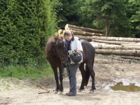 Tierheilpraxis Stefanie Schich