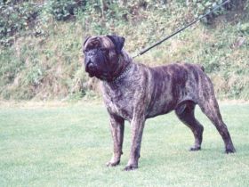 Hazienda High Chapperal