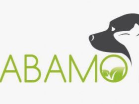 NABAMO Ernährungsberatung