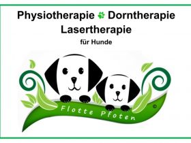 Physio-, Dorn- & Lasertherapie Flotte Pfoten