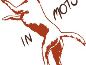 In Motu - Physio für Hund & Halter