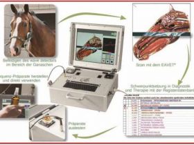 MoBiRe mobile Bioresonanz und Tierpsychologie