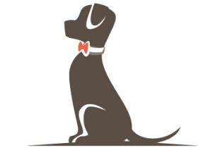 Teamwork Hundetraining Wiessner