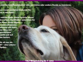 Therapie- und Ausbildungszentrum/ TAZ Hundeschule
