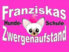 Franziska Zwergenaufstand - Schule und Betreuung