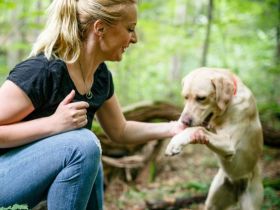 Grüne Hundeschule Berlin
