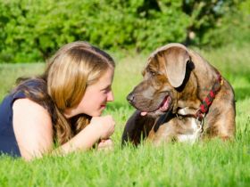 Hundeschule Anna Lange