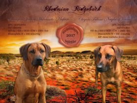 Falami Nayla of Joana