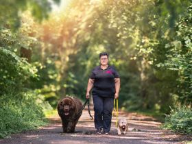 Hundeschule Maureen's Dogs