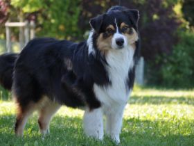 Trulyawesome Hide and Seek