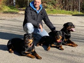 Seadogs Hundeschule am Bodensee