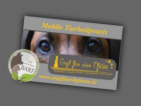 Mobile Tierheilpraxis Engl für vier Pfoten - Kerstin Engl