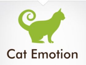 Cat Emotion - Katzenpsychologie/Katzenverhaltenstherapie/Katzensitting