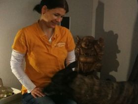 Mobile Tierheilpraxis Elke Kugler