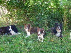 vom Habelsheimer Hof