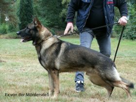 Ex von der Mördersdell