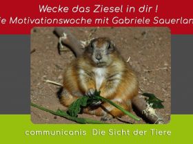 Wecke das Ziesel in Dir ! Die Motivationswoche mit Gabriele Sauerland 08.01.25