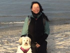 Wolfs tolle Hunde Mobile Hundeschule