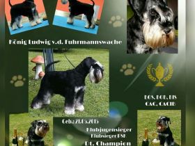 König Ludwig von der Fuhrmannswache