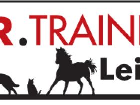 Tiertraining Leipzig