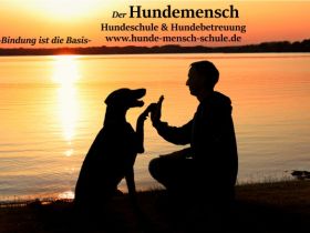 Hundeschule "Hundemensch"