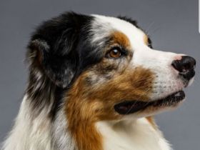 Red Rivers Flashdance What a feeling