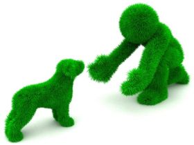 Abendvortrag: Martin Eigentler, der „Huskymann“... von Tirol nach Schweden