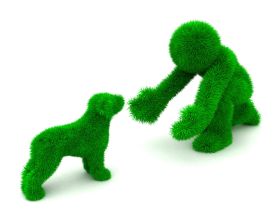 Tagesseminar mit Angelika Lanzerath Thema: Erziehung von Sturköpfen