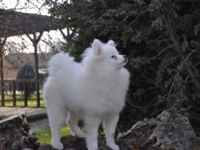 Chandler, Chester, Crystal