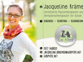 Physio- und Verhaltenstherapie "Gib Pfote"