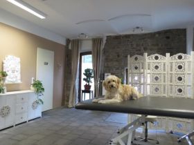 Tierheilpraxis Stephanie Bielski