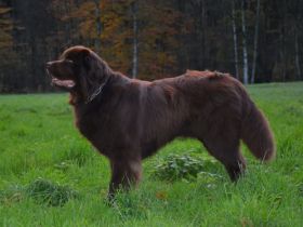 Urs Bär vom Seebachtal