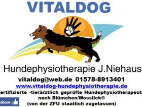 Vitaldog Hundephysiotherapie Niehaus Düren Niederzier
