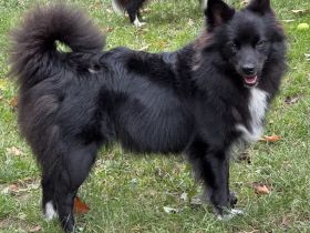 of the hop-o'-my-thumb